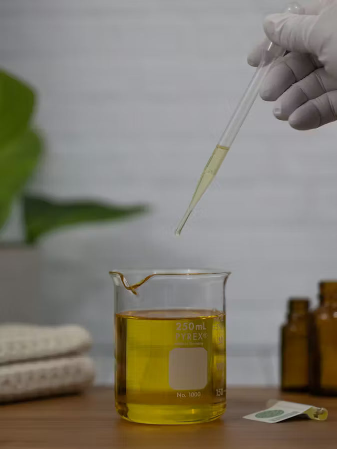 Treasures of Guercif