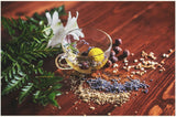 Herbes et produits sauvages — image d'illustration