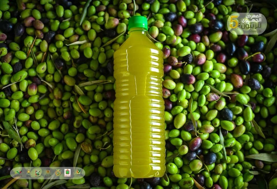 Huile d'olive fraîchement pressée sur lit d'olives — Coopérative El Jaouda, Guercif