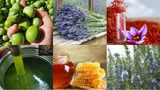 Collage, olive, oil, rosemary, honey, saffrn