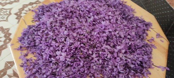 Fleur de safran