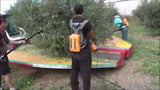 Harvesting Services
