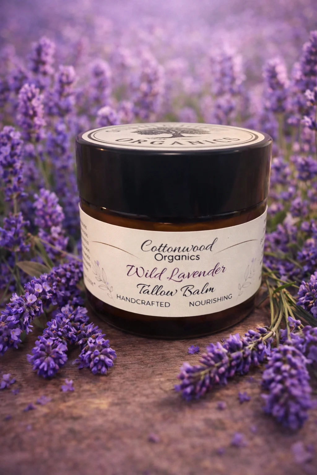 Lavender