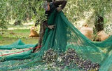 Olive Net