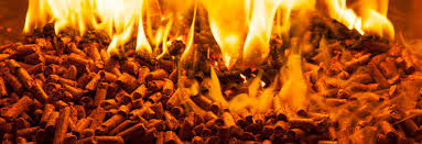 Pomace Pellets