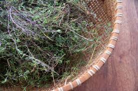 Thyme