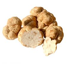 Truffes Tafrata
