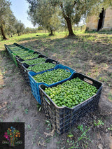 Olives