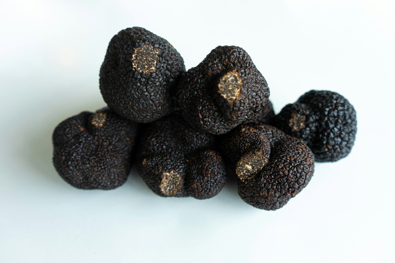 Truffes du plateau de Tafrata — image d'illustration