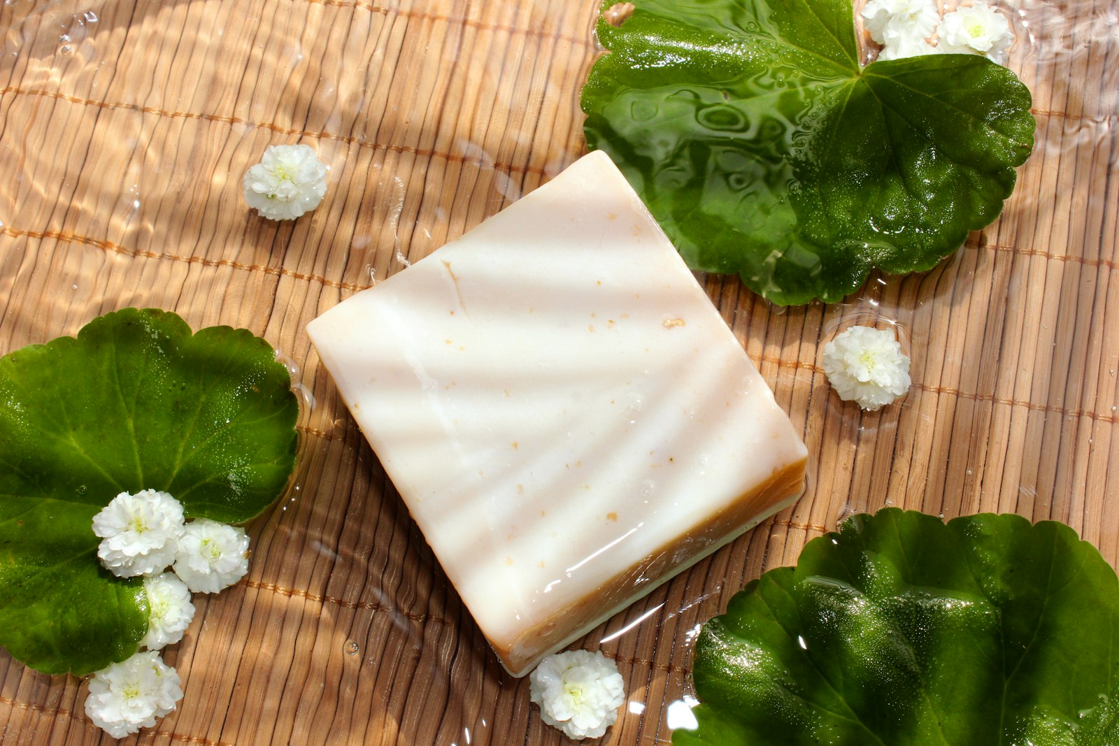 Savon à l'aloe vera — image d'illustration